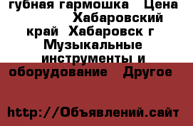 губная гармошка › Цена ­ 4 000 - Хабаровский край, Хабаровск г. Музыкальные инструменты и оборудование » Другое   